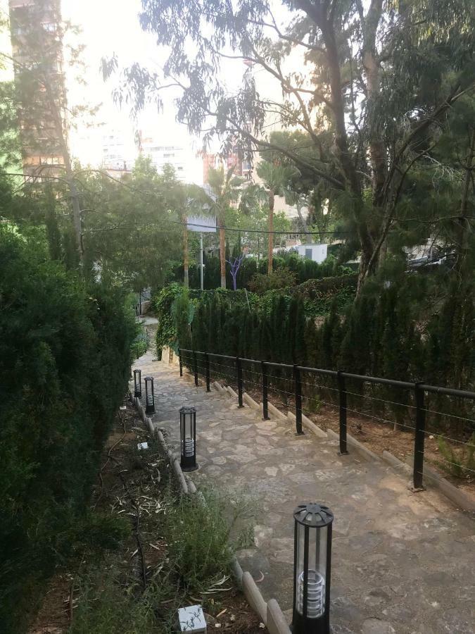 Apartament Apartment